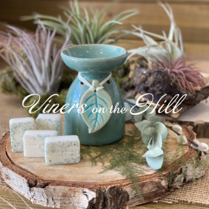 Aqua wax melt burner