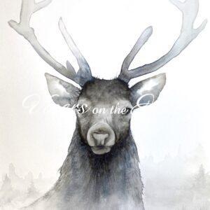 Stag